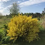 Сasa de vacaciones Sandkorn 1 Und 2 Pruchten