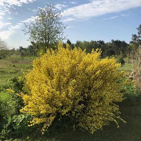 Сasa de vacaciones Sandkorn 1 Und 2 Pruchten