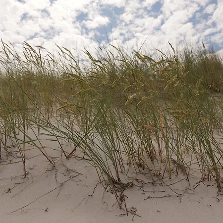 Sandkorn 1 Und 2 Pruchten